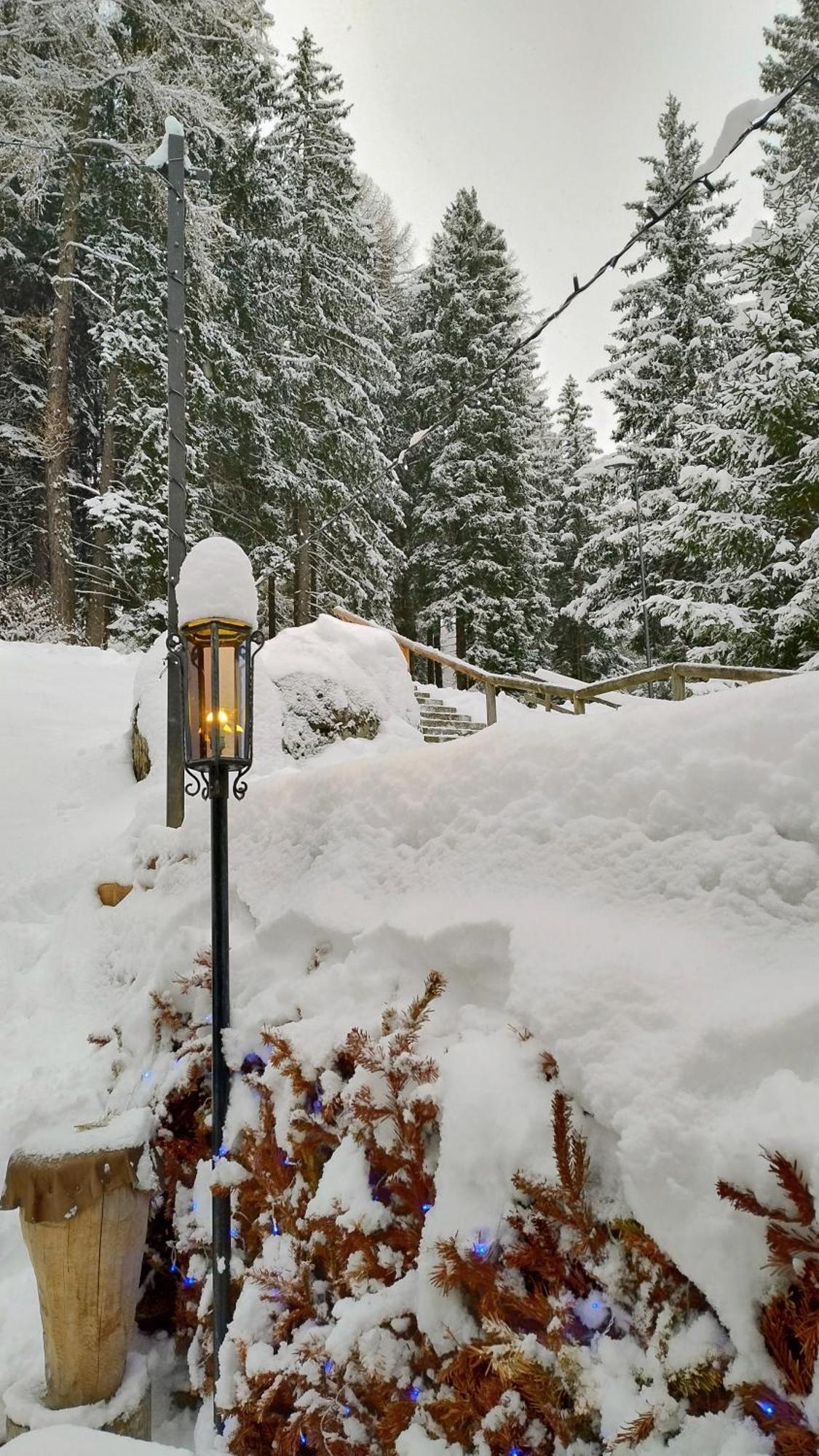 Ale 1206, Marilleva 1400 Accesso Diretto Alle Piste Bagian luar foto