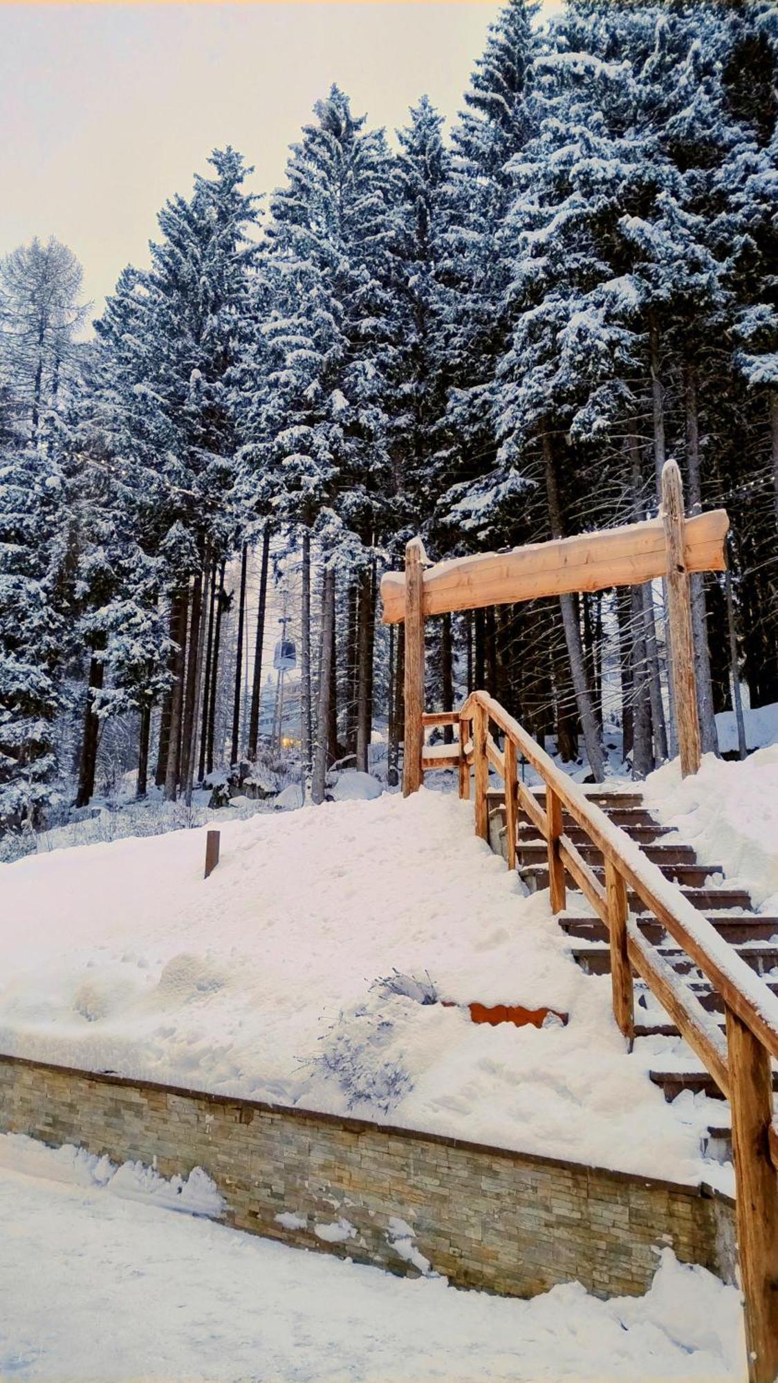Ale 1206, Marilleva 1400 Accesso Diretto Alle Piste Bagian luar foto
