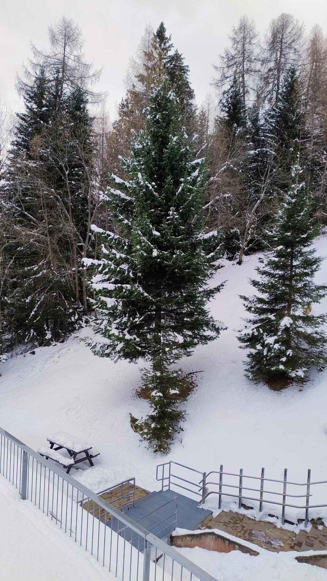 Ale 1206, Marilleva 1400 Accesso Diretto Alle Piste Bagian luar foto